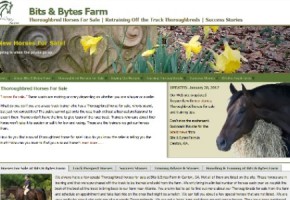 Bits & Bytes Farm