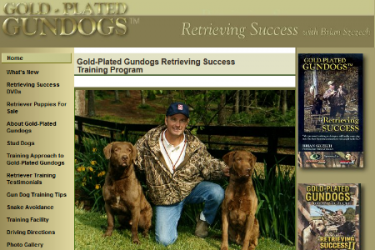 Gold-Plated Gundogs