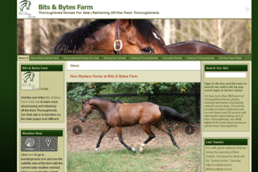 Bits & Bytes Farm