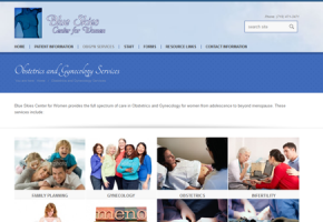 Blue Skies Center for Women Updated to a Responsive Site